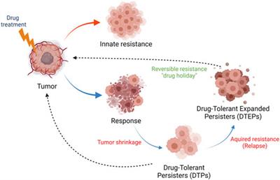 Disrupting Mechanisms that Regulate Genomic Repeat Elements to Combat Cancer and Drug Resistance